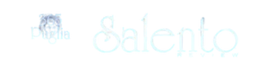 Logo Salento Review