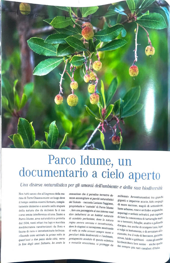 Immagine 1